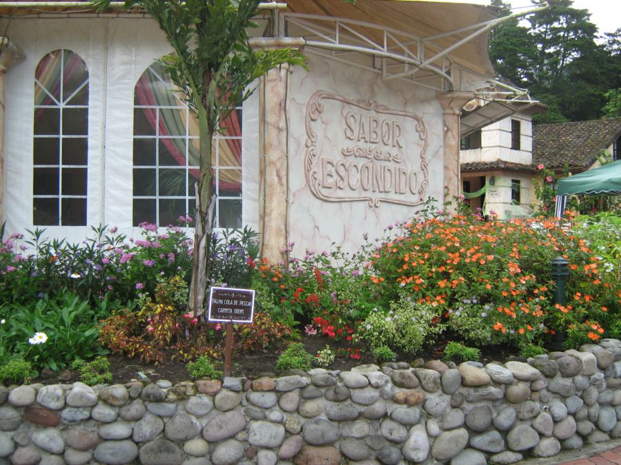 [Foto de planta, jardin, jardineria]