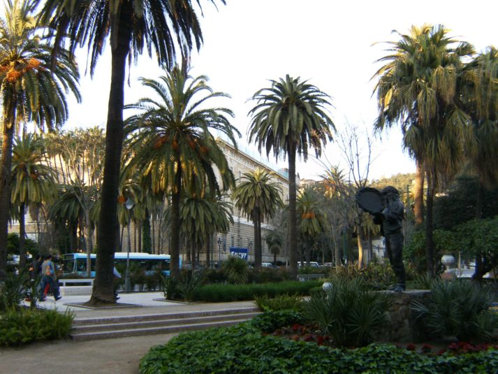 [Foto de planta, jardin, jardineria]