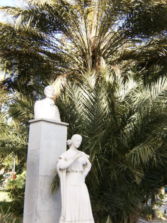 [Foto de planta, jardin, jardineria]