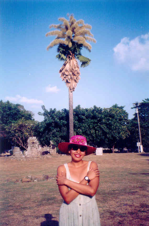 [Foto de planta, jardin, jardineria]