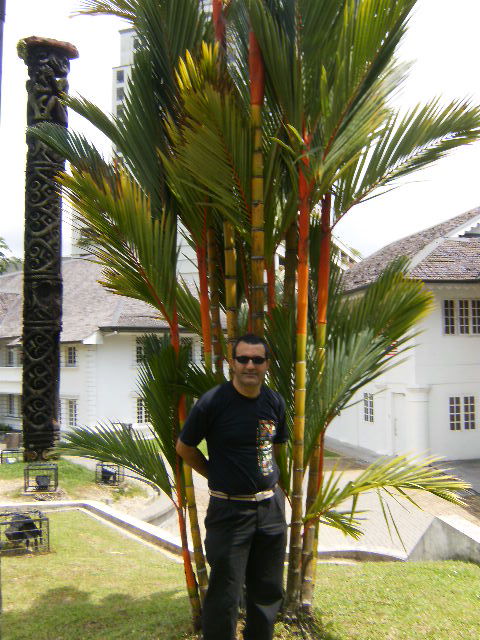 [Foto de planta, jardin, jardineria]