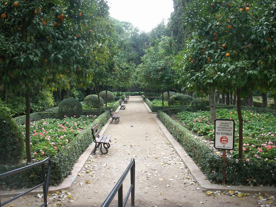 [Foto de planta, jardin, jardineria]
