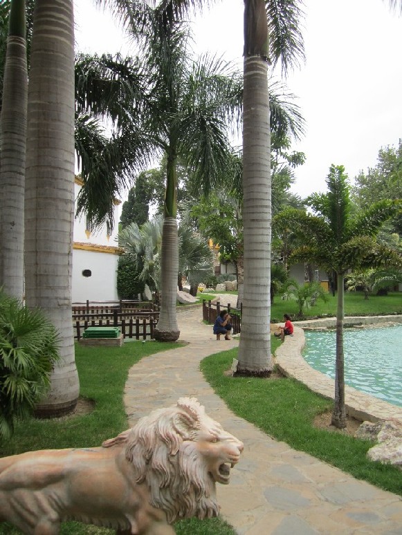 [Foto de planta, jardin, jardineria]