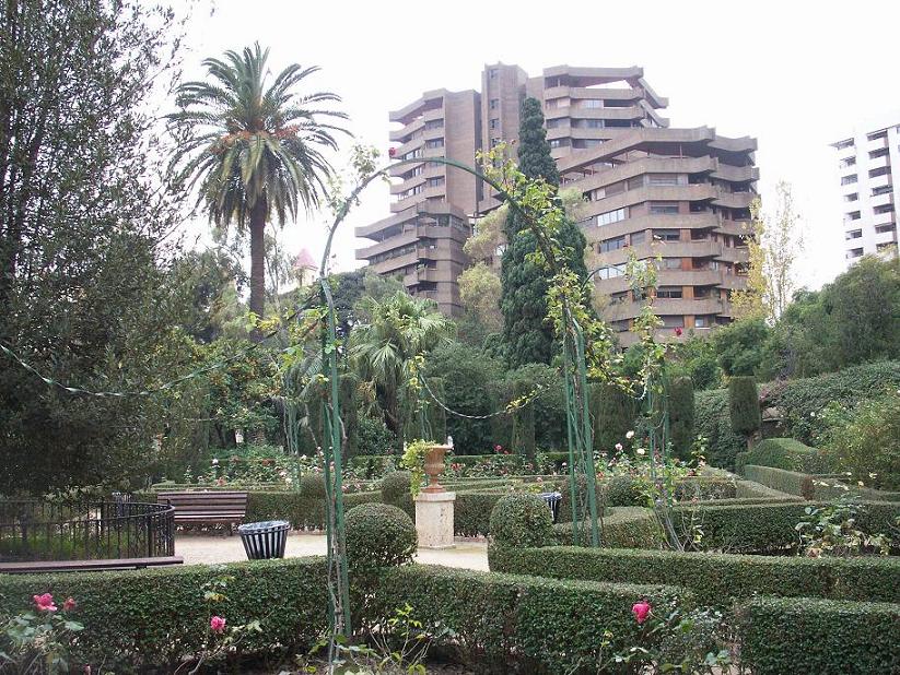 [Foto de planta, jardin, jardineria]