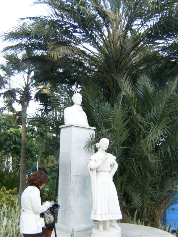 [Foto de planta, jardin, jardineria]