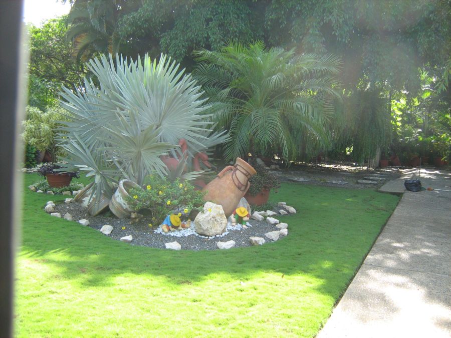 [Foto de planta, jardin, jardineria]
