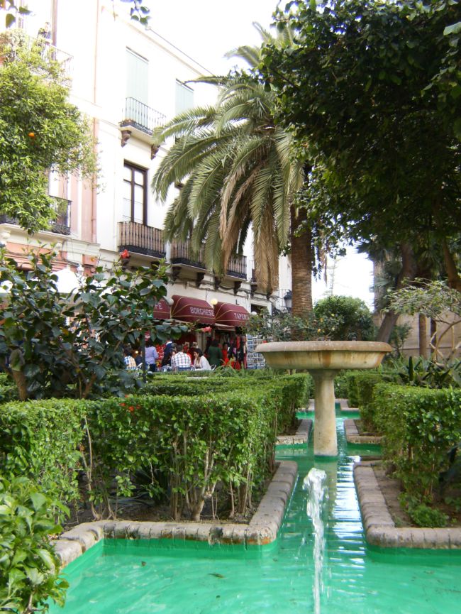 [Foto de planta, jardin, jardineria]