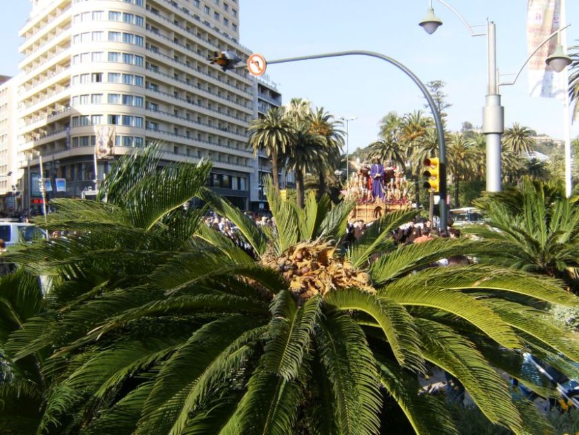 [Foto de planta, jardin, jardineria]