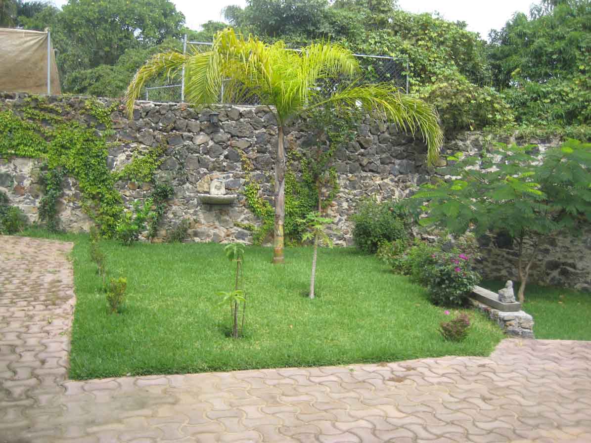 [Foto de planta, jardin, jardineria]