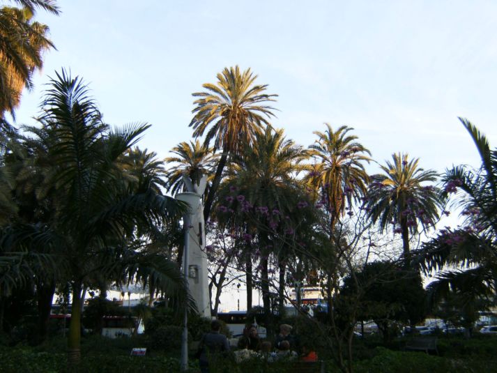 [Foto de planta, jardin, jardineria]