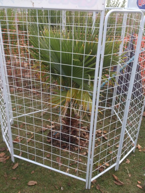 [Foto de planta, jardin, jardineria]