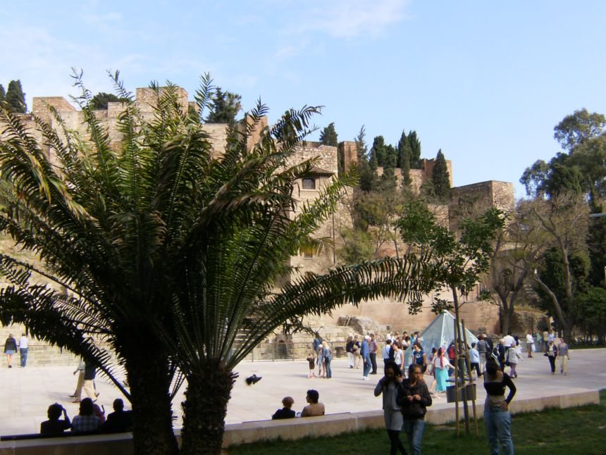 [Foto de planta, jardin, jardineria]