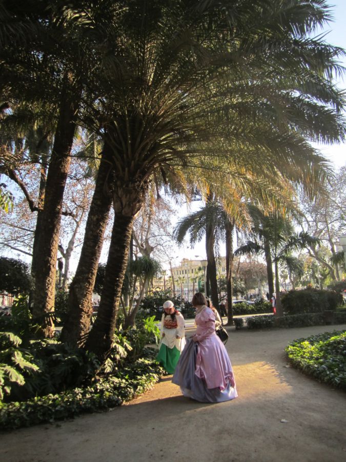 [Foto de planta, jardin, jardineria]