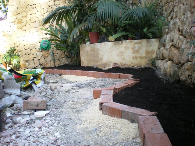 [Foto de planta, jardin, jardineria]
