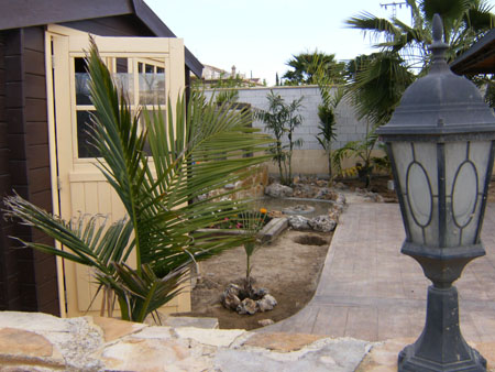 [Foto de planta, jardin, jardineria]