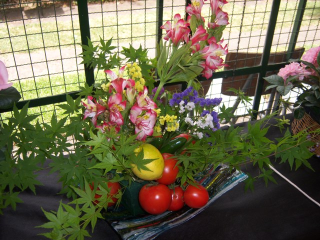 [Foto de planta, jardin, jardineria]