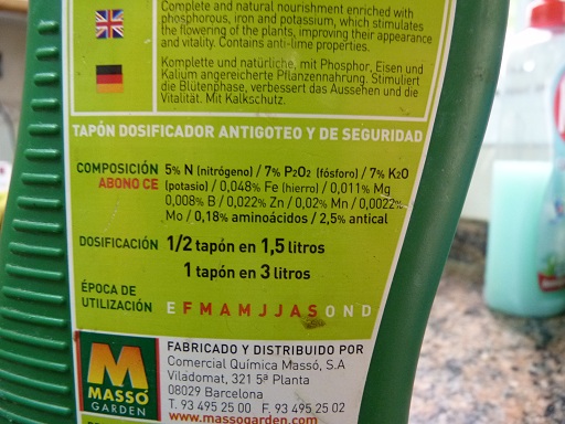 [Foto de planta, jardin, jardineria]