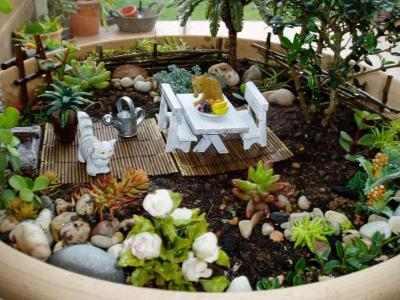 [Foto de planta, jardin, jardineria]