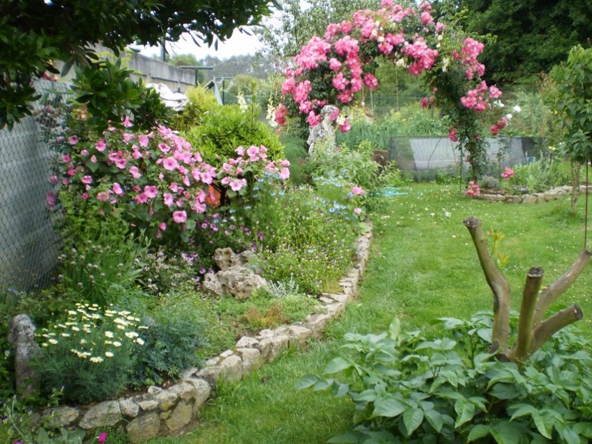 [Foto de planta, jardin, jardineria]
