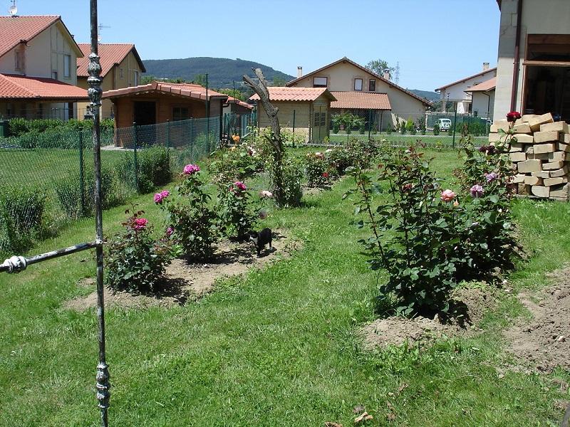 [Foto de planta, jardin, jardineria]