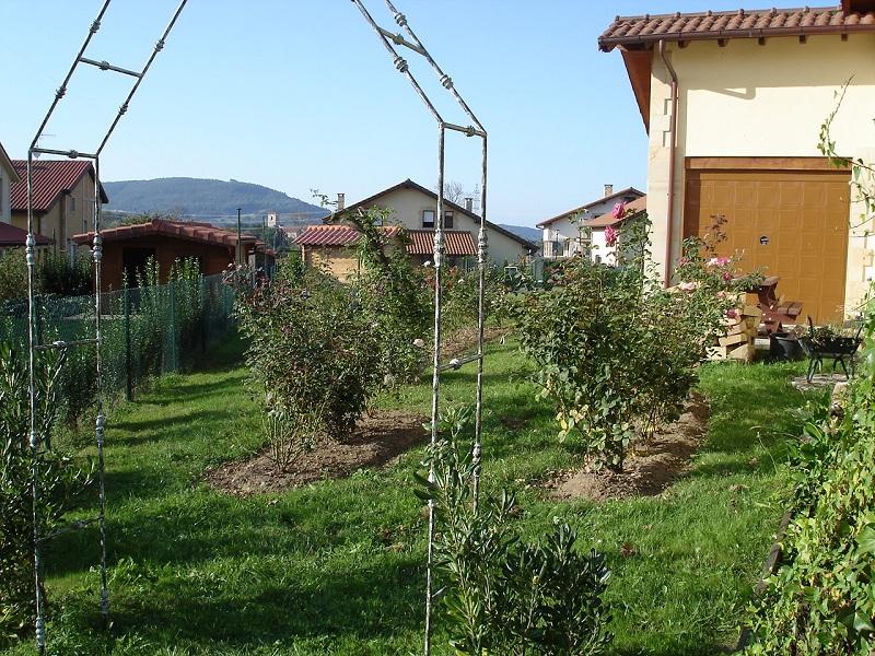 [Foto de planta, jardin, jardineria]