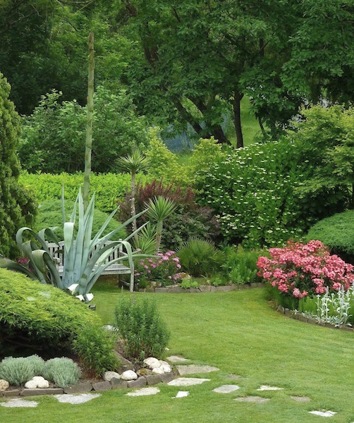 [Foto de planta, jardin, jardineria]