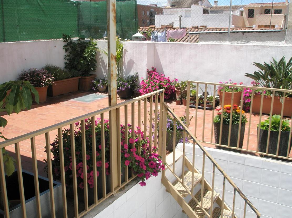 [Foto de planta, jardin, jardineria]