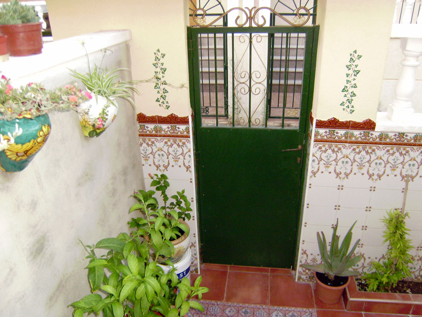 [Foto de planta, jardin, jardineria]