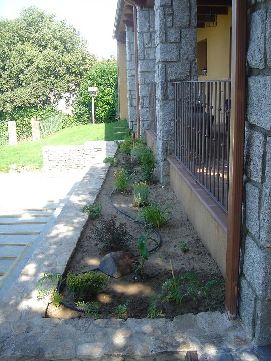 [Foto de planta, jardin, jardineria]