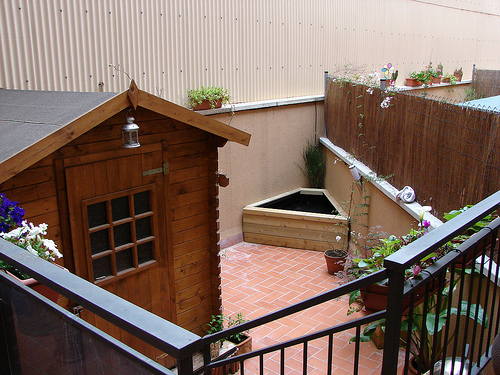 [Foto de planta, jardin, jardineria]