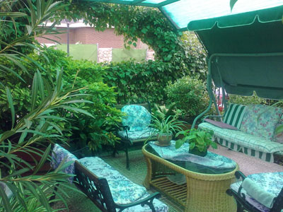 [Foto de planta, jardin, jardineria]