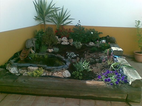 [Foto de planta, jardin, jardineria]