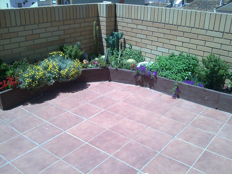 [Foto de planta, jardin, jardineria]