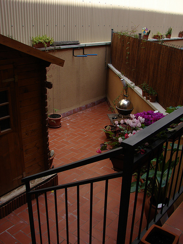 [Foto de planta, jardin, jardineria]