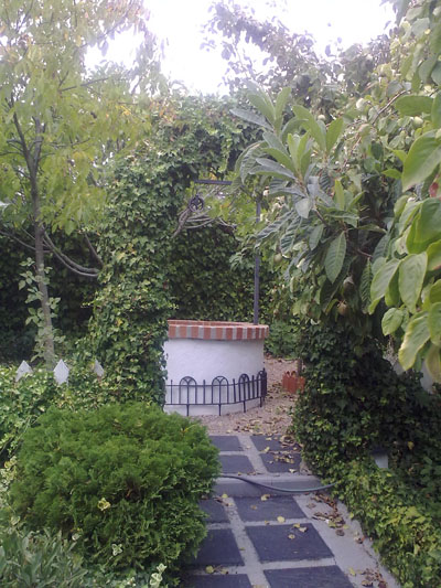 [Foto de planta, jardin, jardineria]
