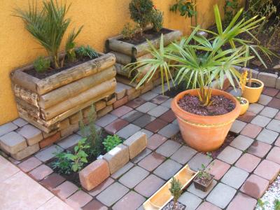 [Foto de planta, jardin, jardineria]