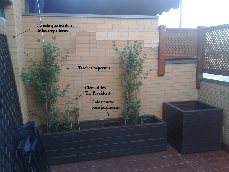 Celosias de madera ancladas a pared - 2  Celosía madera, Celosías de  jardín, Diseño de azotea