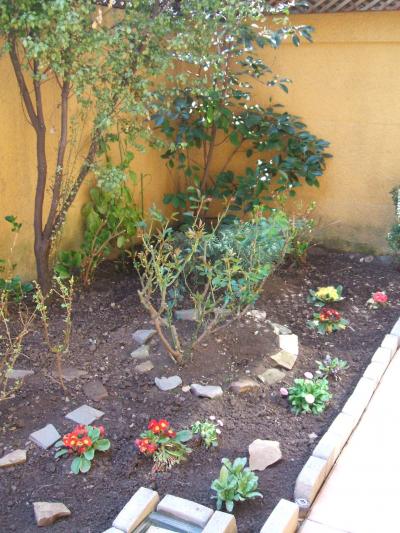 [Foto de planta, jardin, jardineria]