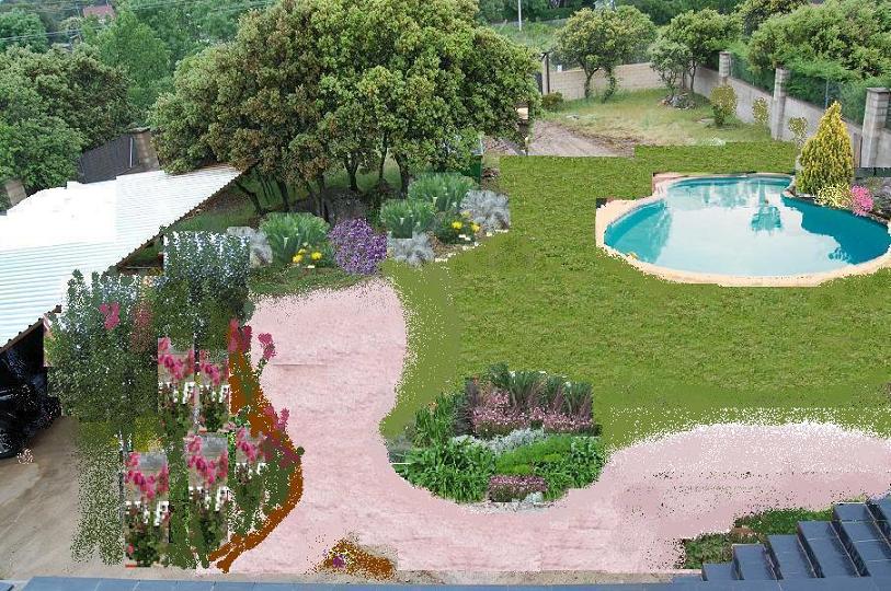 [Foto de planta, jardin, jardineria]