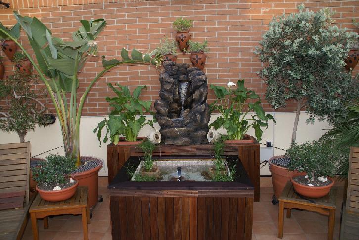 [Foto de planta, jardin, jardineria]