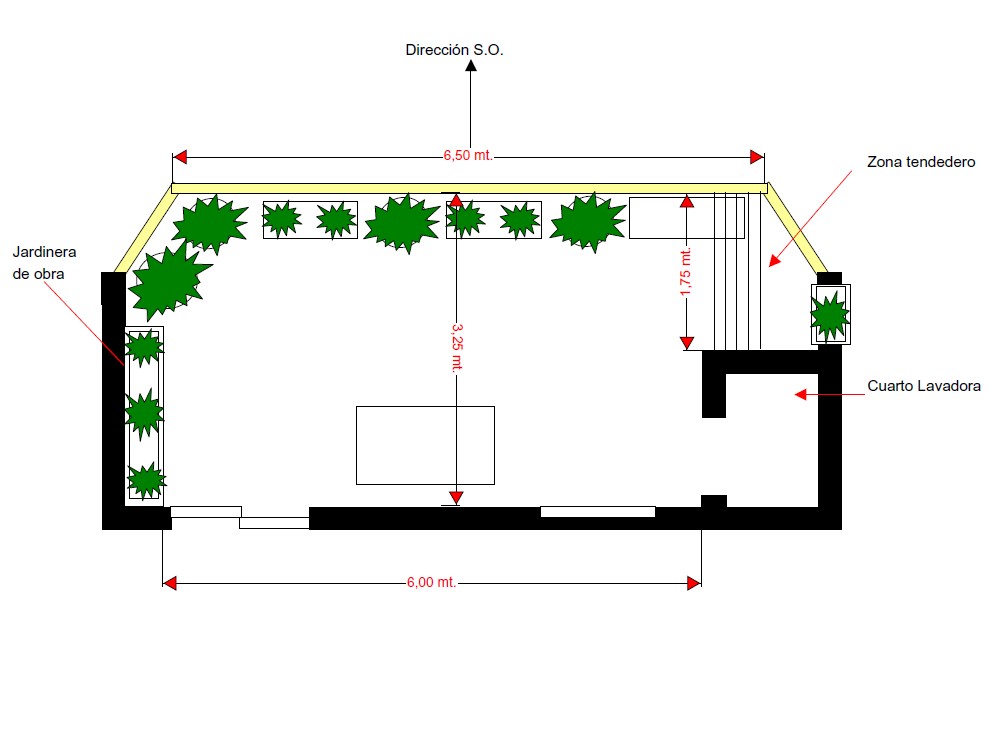 [Foto de planta, jardin, jardineria]