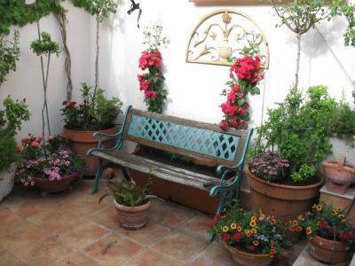 [Foto de planta, jardin, jardineria]