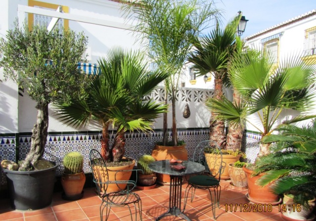 [Foto de planta, jardin, jardineria]