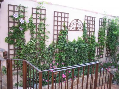 [Foto de planta, jardin, jardineria]