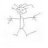 asoleram
