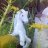 monic_andes