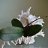 Maite_S