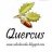 Quercus 4.0